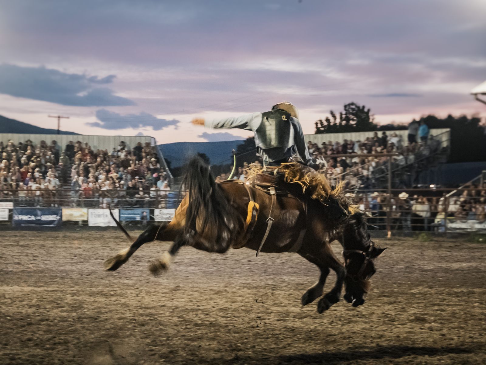 A bucking bronco and rider kicking up dirt in a rodeo arena at dusk, the grandstands full. Photograph by Christopher Kulawik.