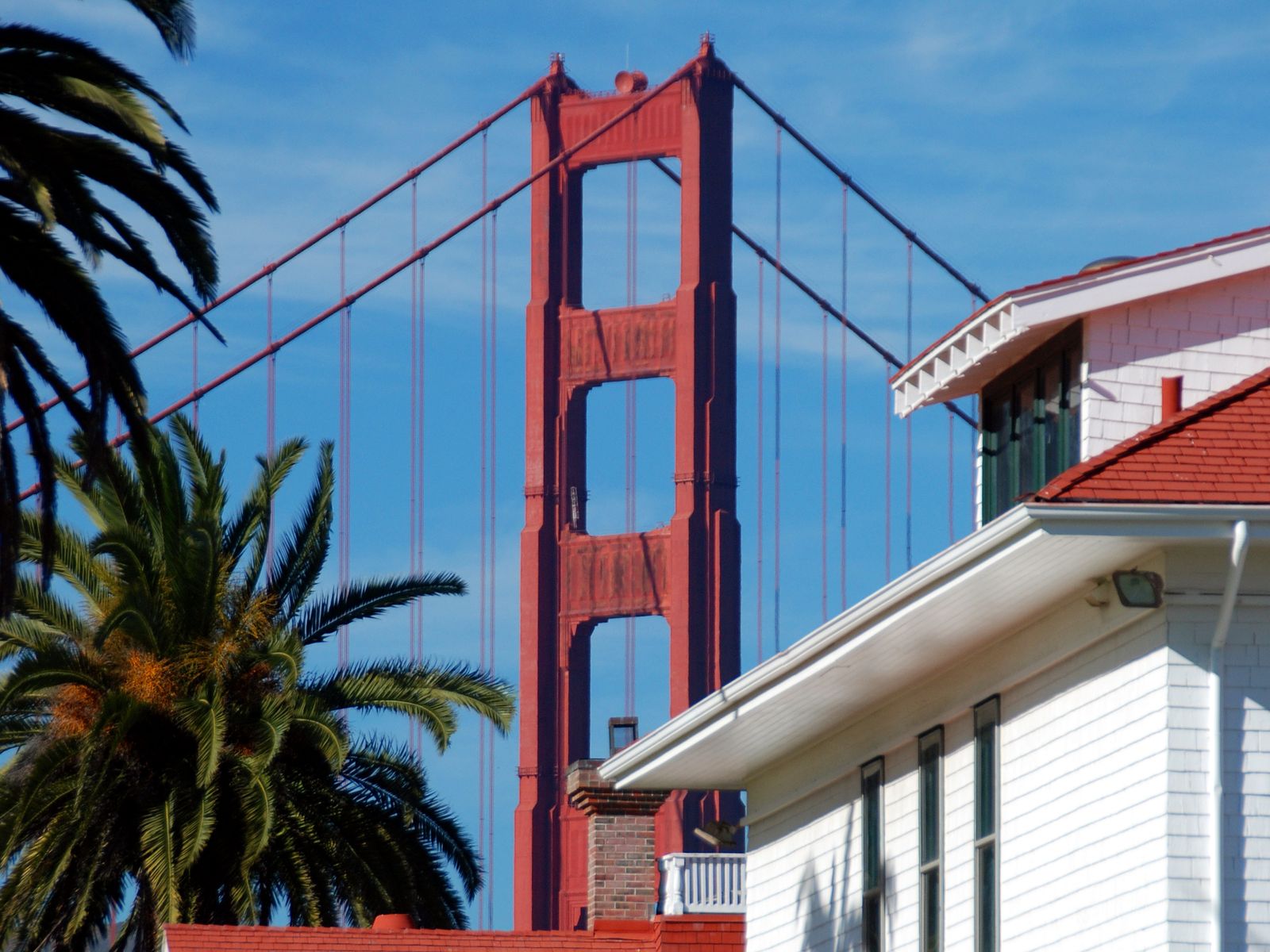 A south tower of the Golden Gate Bridge rising behind palm trees and red-roofed white buildings. Photograph by Christopher Kulawik.